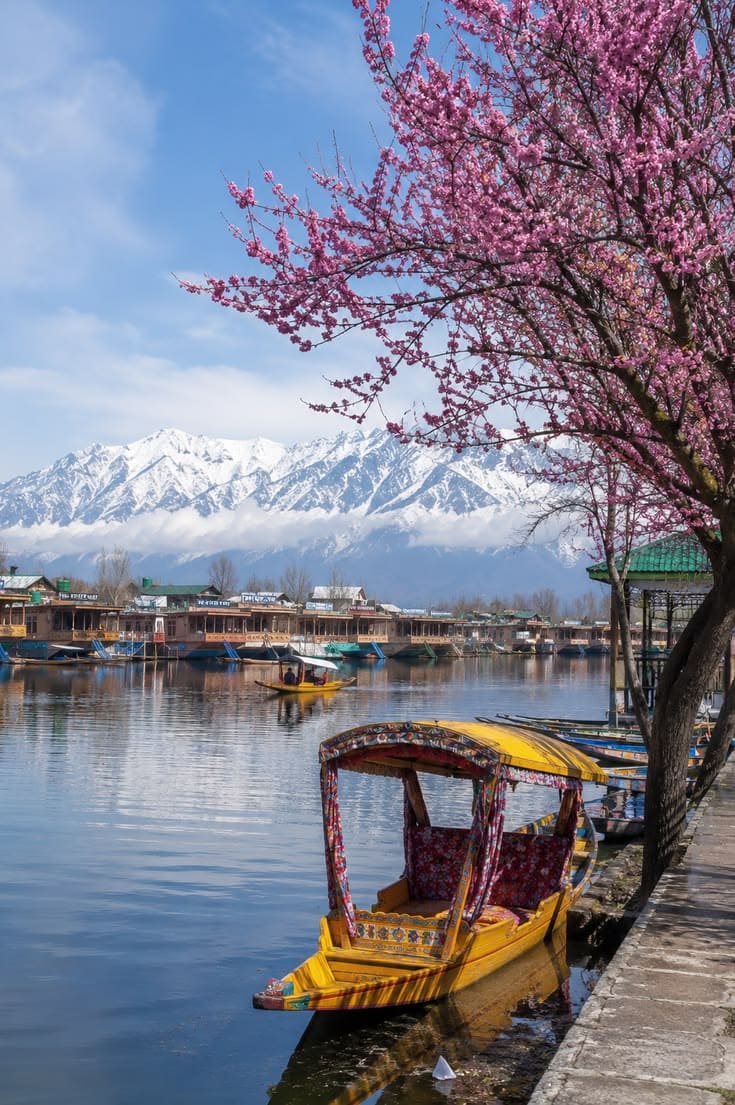 Kashmir Group Escape 👥