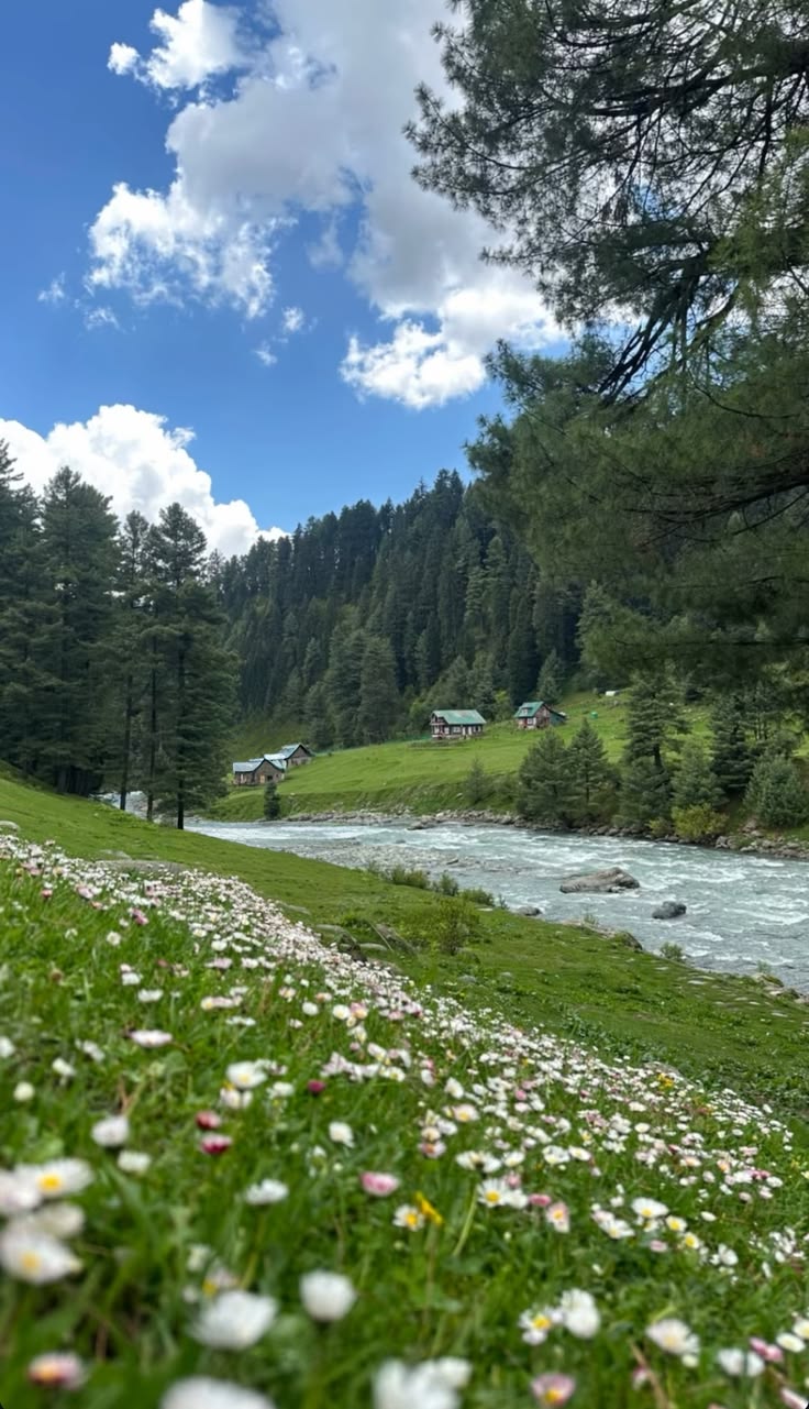 Kashmir Family Retreat 👨‍👩‍👧‍👦