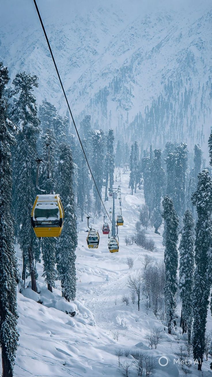 Kashmir Adventure Circuit 🏔️