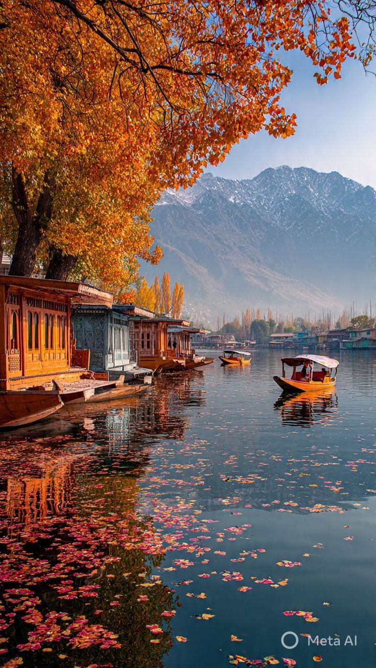 Kashmir Royal Escape