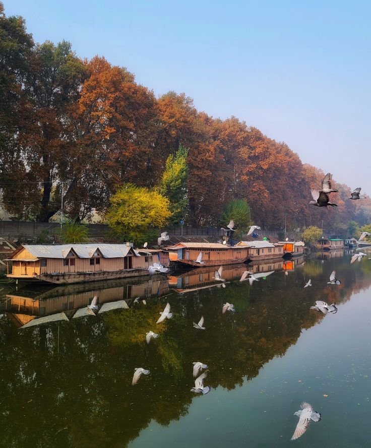 Kashmir Grand Luxury